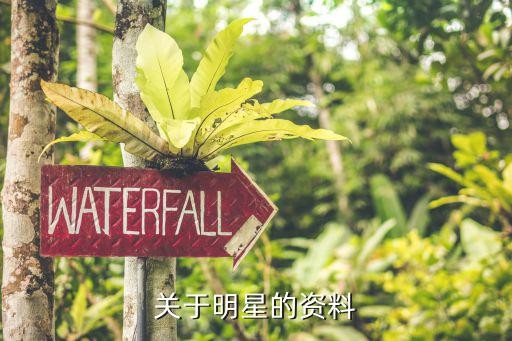 关于明星的资料