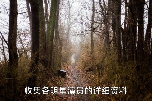 收集各明星演员的详细资料