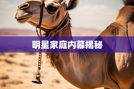 明星家庭内幕揭秘