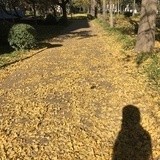 小庭空
