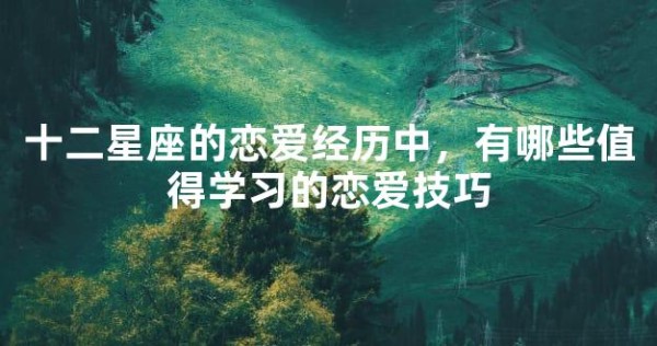十二星座的恋爱经历中，有哪些值得学习的恋爱技巧