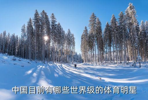 中国体育明星，中国目前有哪些世界级的体育明星