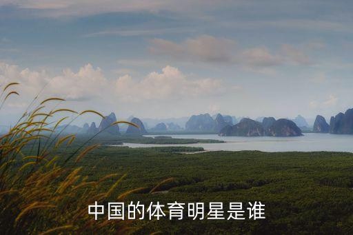 中国的体育明星是谁