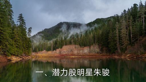 一、潜力股明星朱骏