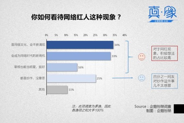 【真象】当观众追逐“网红”的时候，资本应该跟上去吗？
