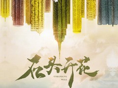 石头开花 郑云龙