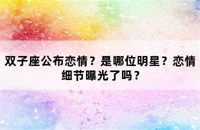 双子座公布恋情？是哪位明星？恋情细节曝光了吗？