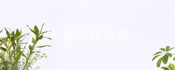 星座感情分析