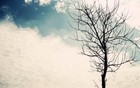 王朔：大部分人基本价值观混乱，越老越不懂事