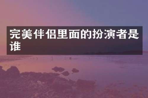 完美伴侣里面的扮演者是谁