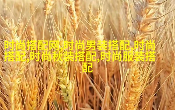 红毯上的时尚博弈明星节目背后的秘密