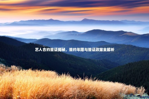 艺人合约签证揭秘，签约年限与签证政策全解析