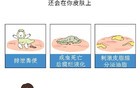 将身体毛孔里的螨虫都清理干净，到底有多爽？