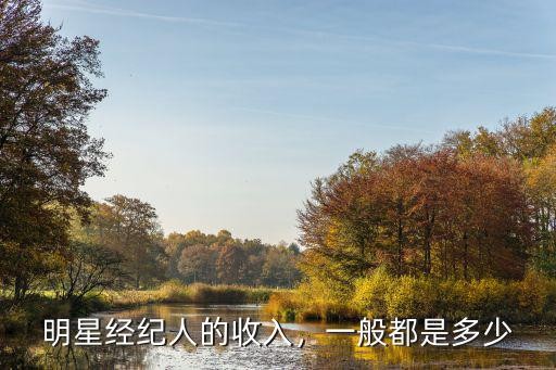 明星经纪人的收入，一般都是多少