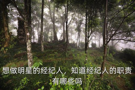 想做明星的经纪人，知道经纪人的职责有哪些吗