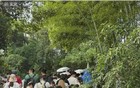 中国网民“感谢美国”的淡定调侃，说明了什么？