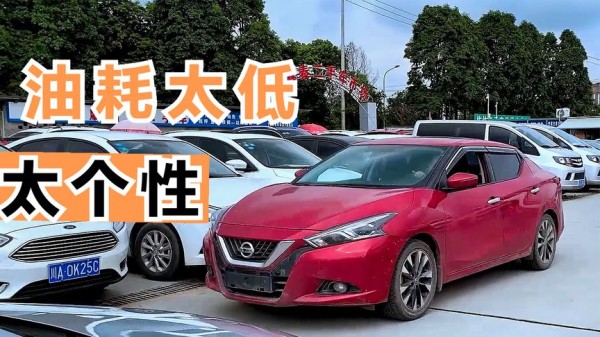 1千公里200多!动力靠吼,颜值前头没的说-蓝鸟:你关心的都在这