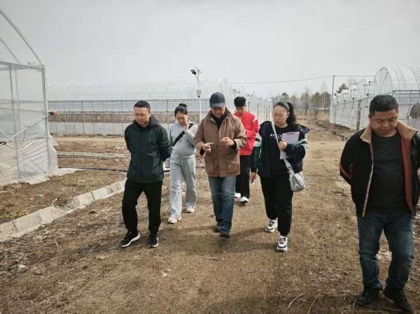 黑龙江农业经济职业学院教师团队深入宁安市明星小镇指导备春耕 推动农业科技创新应用