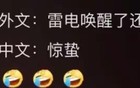 中文果然是一个巨大的压缩包！网友：勿谓言之不预也！