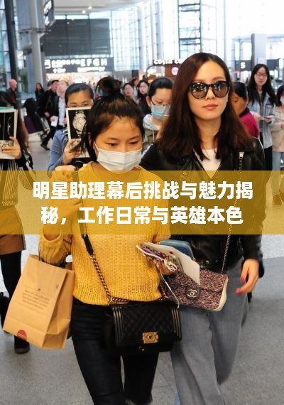 明星助理幕后挑战与魅力揭秘，工作日常与英雄本色