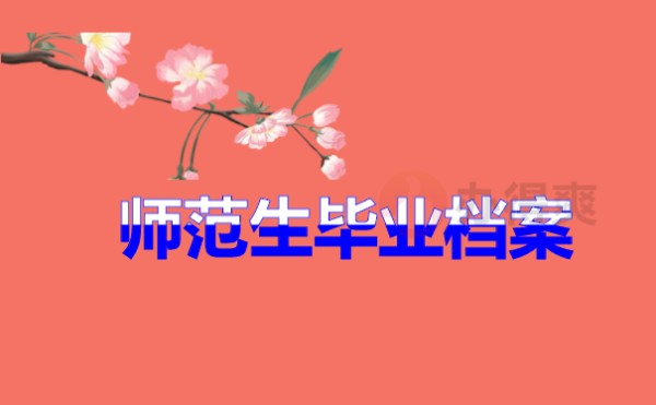 师范生毕业档案查询