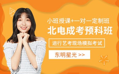 北京艺考高中预科班