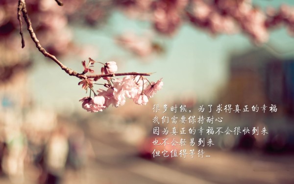 揭秘网站设计师，塑造数字世界的艺术大师