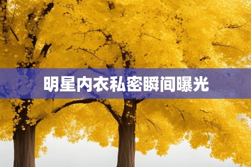 明星内衣私密瞬间曝光