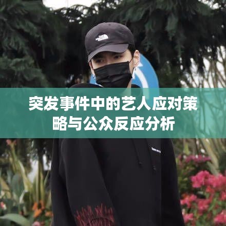 突发事件中的艺人应对策略与公众反应分析