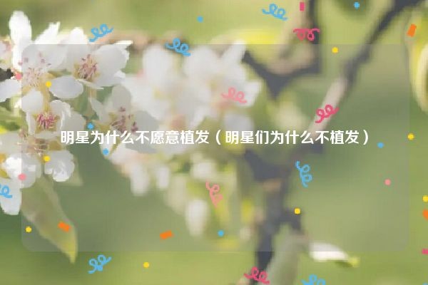 明星为什么不愿意植发（明星们为什么不植发）