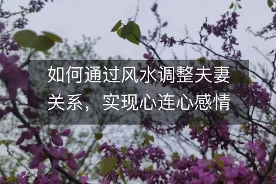 恋爱风水助力，共度浪漫永恒