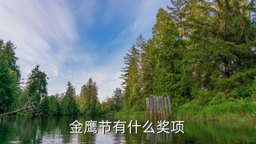 金鹰节有什么奖项