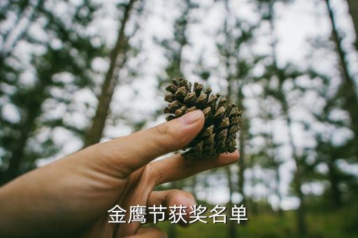 金鹰节获奖名单