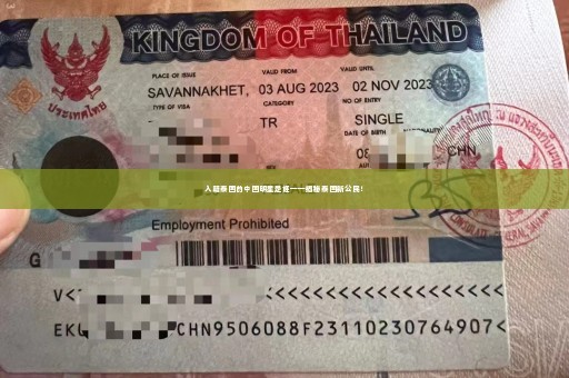 入籍泰国的中国明星是谁——揭秘泰国新公民！