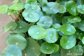 免费算命星期配对——解锁你与星辰的神秘联系