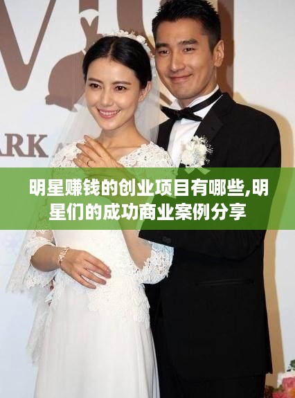 明星赚钱的创业项目有哪些,明星们的成功商业案例<a target=