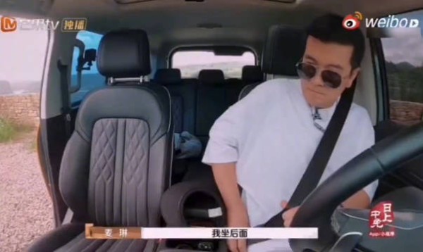 麦琳专治杨子