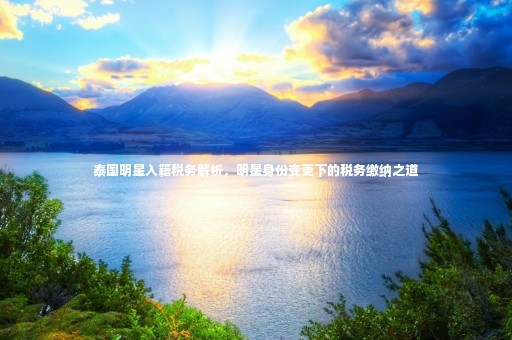 泰国明星入籍税务解析，明星身份变更下的税务缴纳之道