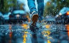 上海明后天有强风大雨，局部地区可达暴雨