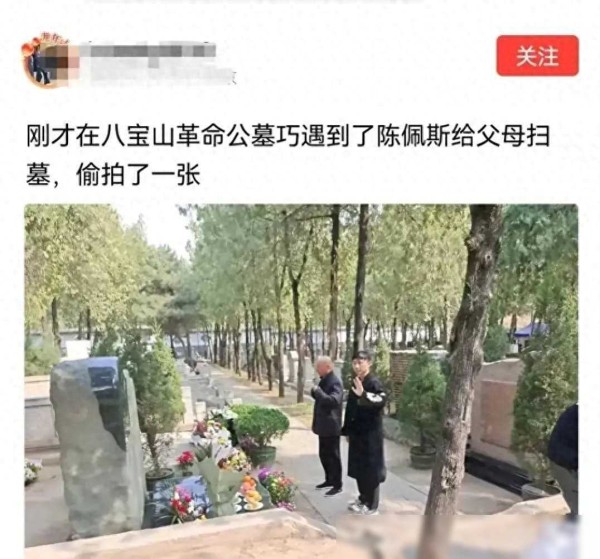 陈佩斯带儿扫墓被拍引发争议，现场照片曝光引发热议