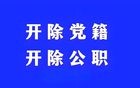 她被开除党籍和公职