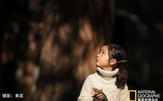 明星也爱摄影，胡歌等10位明星的摄影作品你最爱谁的摄影风格？