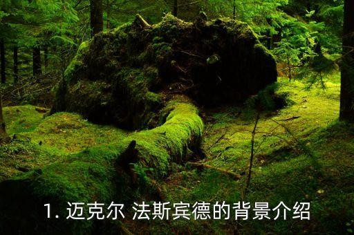 1. 迈克尔 法斯宾德的背景介绍