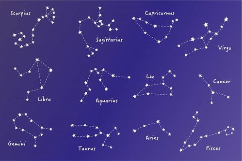 生肖星座速查:揭秘你的专属星象!