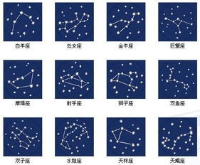 生肖星座速查:揭秘你的专属星象!