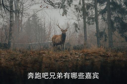奔跑吧兄弟有哪些嘉宾