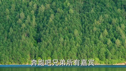 奔跑吧兄弟所有嘉宾