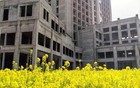 4月的房价涨了吗？我可以明确告诉大家，房价涨了。