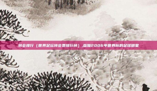 转会排行(世界足坛转会费排行榜),参加2006年世界杯的足球明星