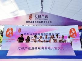 贵州直播电商基地开业签约仪式暨网红明星主播孵化开班启动发布会